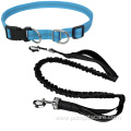 Nylon Dog Leash Material With Pouch Waist Bag